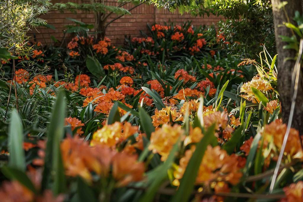 Hudson House Hotel Pretoria-Noord Exterior foto